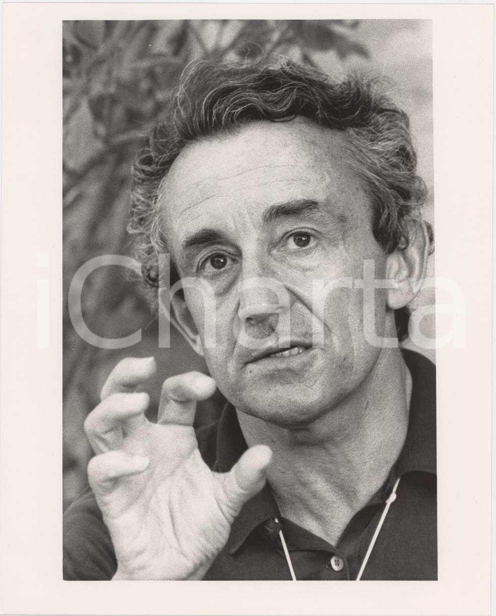 Fotografia d epoca originale 1987 VENEZIA Mostra del Cinema  Louis MALLE Ritratto regista  Foto 20x25 1 1