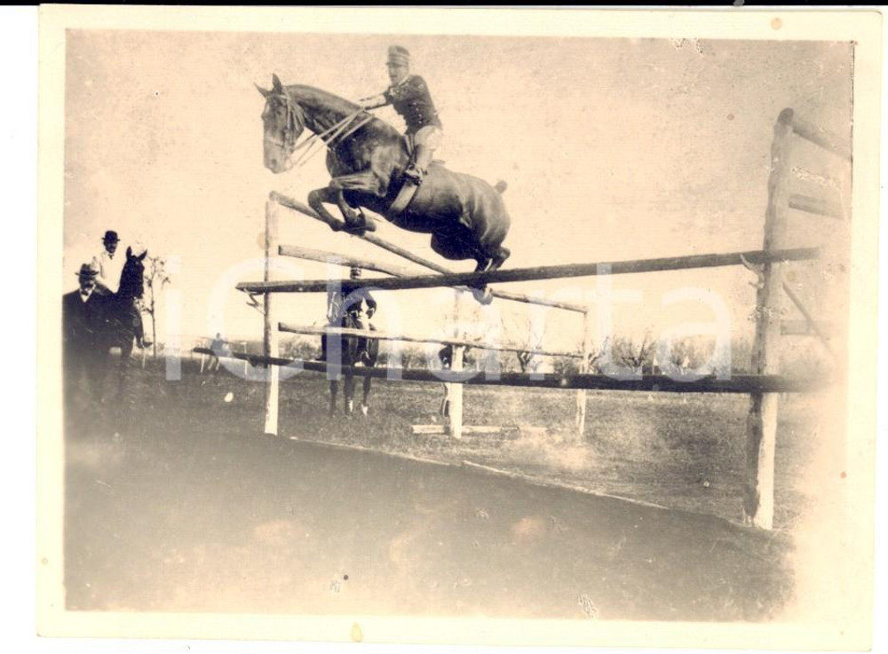 Fotografia d epoca originale 1902 TORINO IPPICA Cavallo NINICHE durante un esercizio Foto 12x9 cm 1