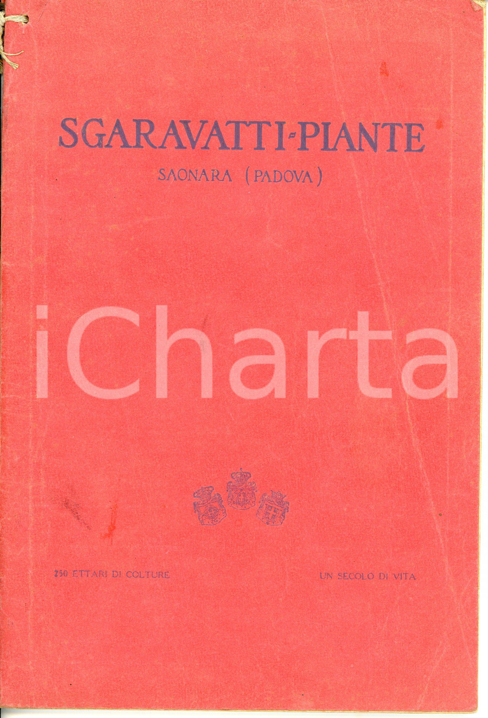 1929-1930 SAONARA Sgaravatti Piante - Catalogo piante da fiore e da frutto Pubblicazione d'epoca. PAGINE: 115CONDIZIONI:VERY POOR/gravemente danneggiato Distacco totale della legatura dal dorso, strappo al margine superiore della copertina, macchie e gualciture in copertina, brunitureFORMATO: 18x27 cm originale e autentica 1