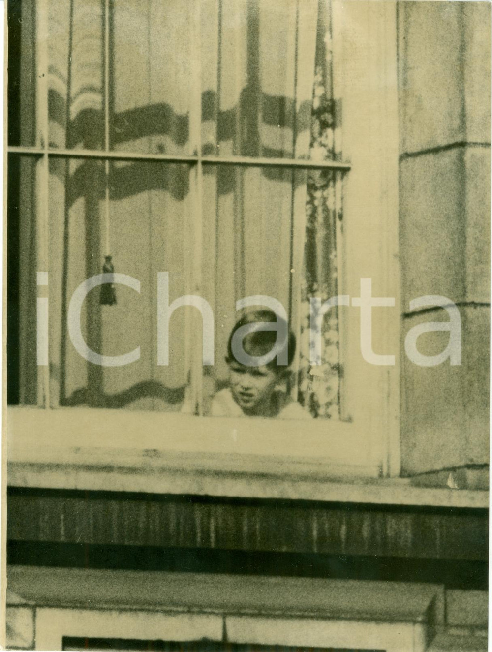 Fotografia d epoca originale 1953 LONDON Prince Charles taking a peep at the crowd BUCKINGHAM PALACE Photo 1