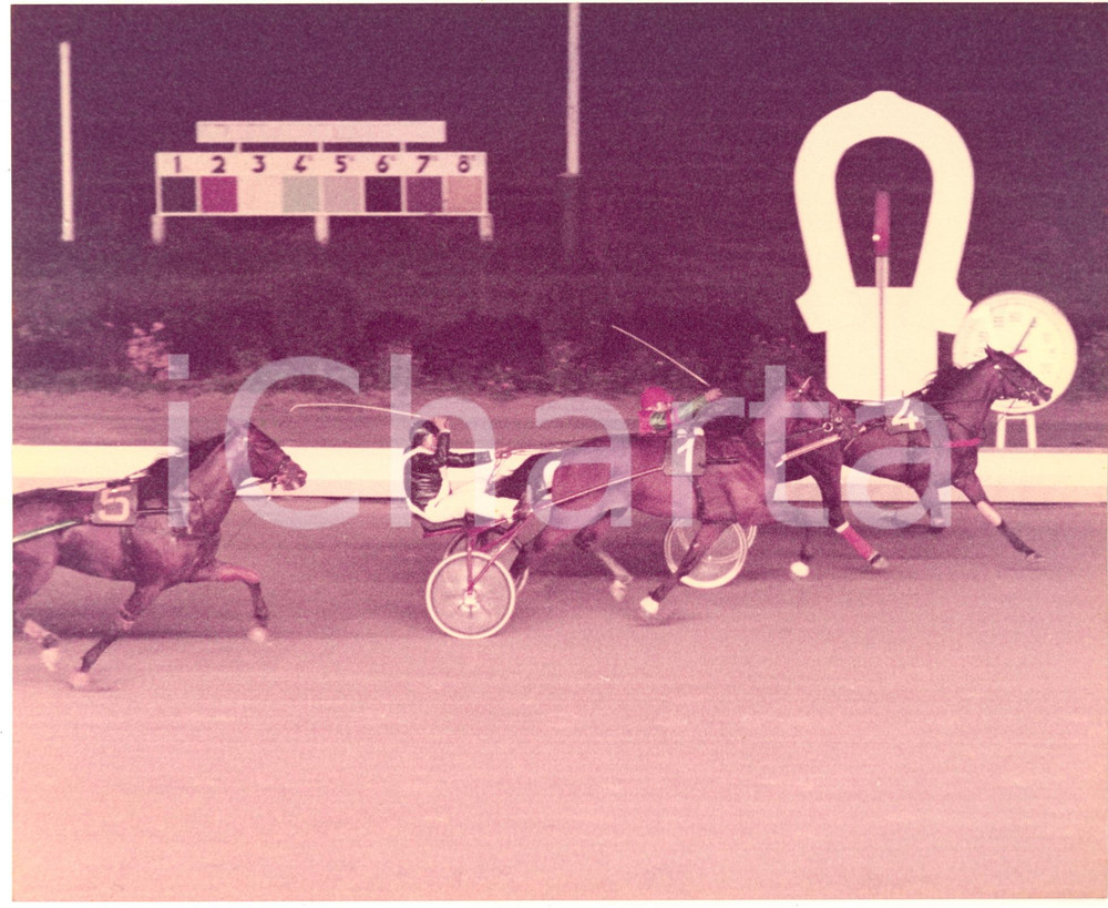 1984 IPPICA VINOVO Gran Premio MARANGONI - Vincitore DARIF EFFE in gara *Foto Fotografia originale d'epoca, a colori. CONDIZIONI:GOOD/buonoFORMATO: 25x20 cm originale e autentica 1