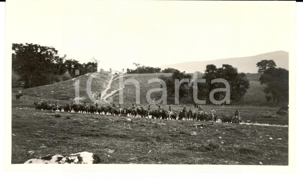 Fotografia d epoca originale 1913 WILLIAMSTOWN USA US CAVALRY with horses  Photo 1