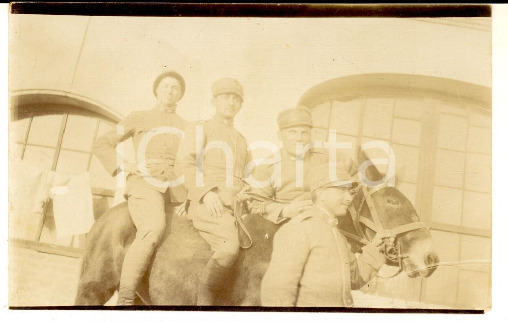Fotografia d epoca originale 1918 WW1 TREVISO Un gruppo di ufficiali a dorso di mulo Foto cartolina CURIOSA 1