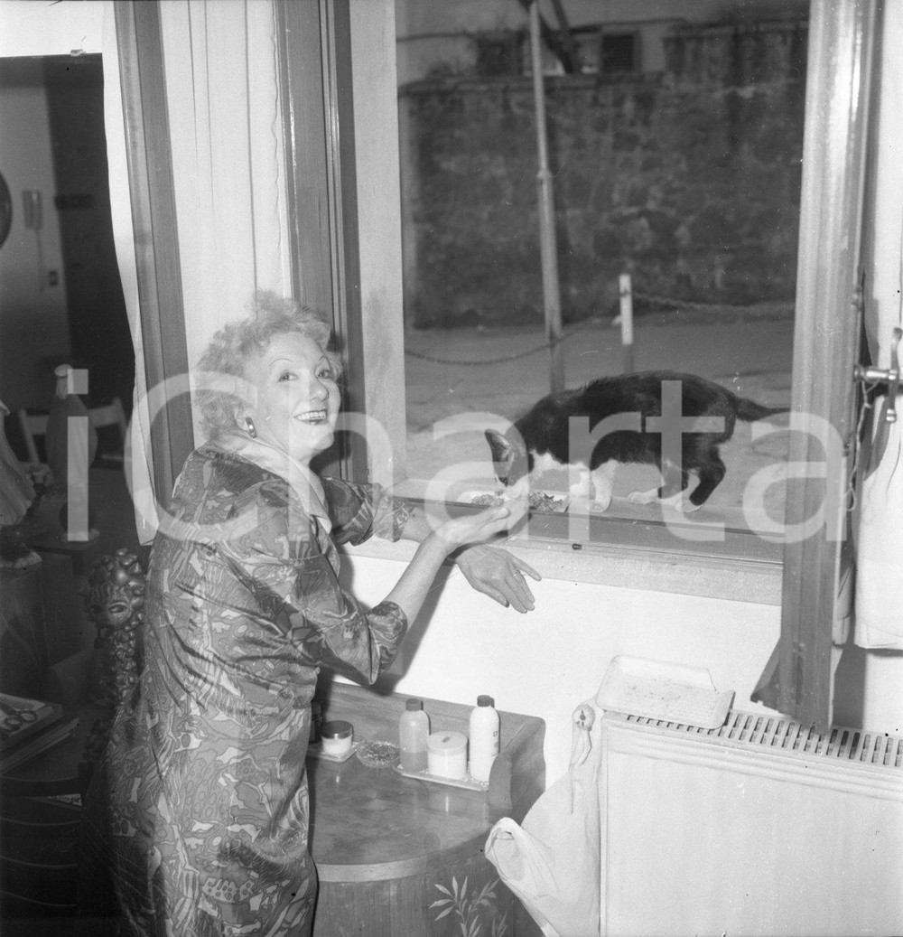 1976 ROMA Isa MIRANDA con il suo gatto NEGATIVO ORIGINALE Negativo originale d'epoca in bianco e nero su pellicola.Autore: Sandro Borni  E' SEVERAMENTE VIETATA LA RIPRODUZIONE.TUTTI I DIRITTI SONO RISERVATI.ICharta mette in vendita, sul negozio eBay e in esclusiva sul sito "icharta" il proprio archivio composto da numerose diapositive e negativi fotografici d'epoca, tutti originali e autentici.Si tratta di uno sguardo inedito sull'attualità, la politica, la vita quotidiana, il gossip e la cultura, che fotografa il cambiamento della nazione (e non solo) tra il 1890 ed il 1990 circa. Un'occasione unica per il mercato del collezionismo, che vede finalmente disponibile un archivio eccezionale per vastità, tematiche e condizioni, in un settore (il negativo fotografico e la diapositiva) di assoluta novità e dalle interessanti prospettive di investimento. CONDIZIONI:FAIR/discretoFORMATO: cm 6 x 6 originale e autentica 1