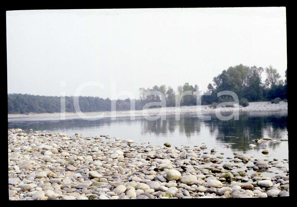 Fotografia d epoca originale 35mm vintage slide 1980ca ANGERA VA Oasi della Bruschera  Panorama 1