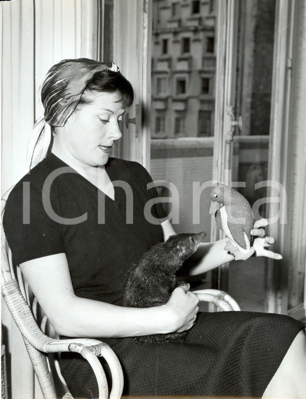 Fotografia d epoca originale 1960 ca PARIS Cantante Colette RENARD gioca con topo domestico Foto 2 1