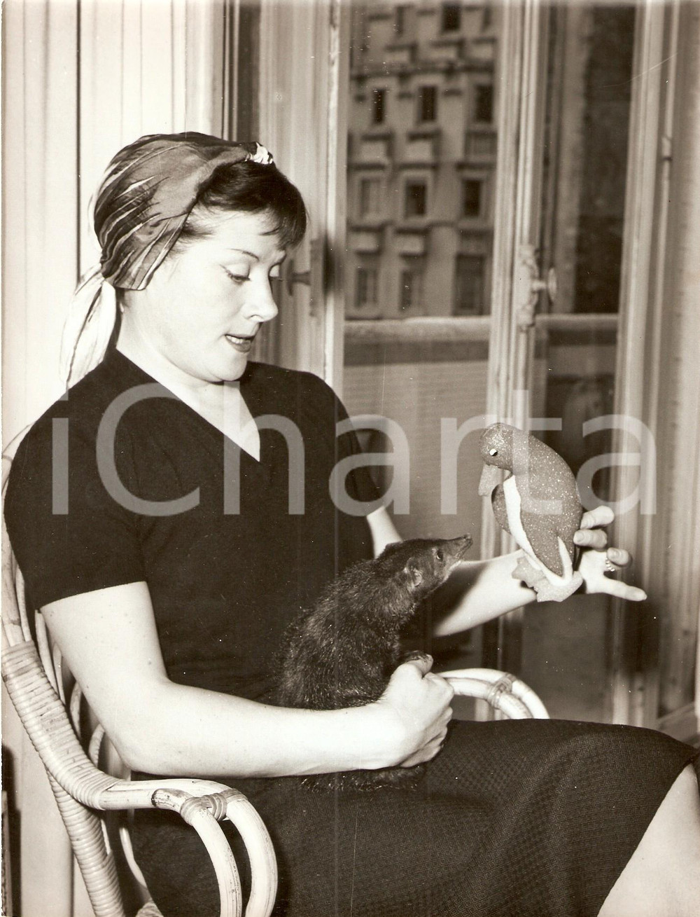Fotografia d epoca originale 1960 ca PARIS Cantante Colette RENARD gioca con topo domestico Foto 3 1
