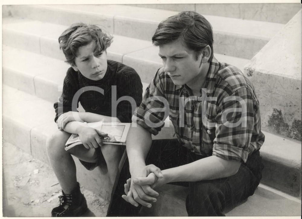 Fotografia d epoca originale 1955 CINEMA Chiens perdus sans collier  Jimmy URBAIN Serge LECOINTE Foto 1