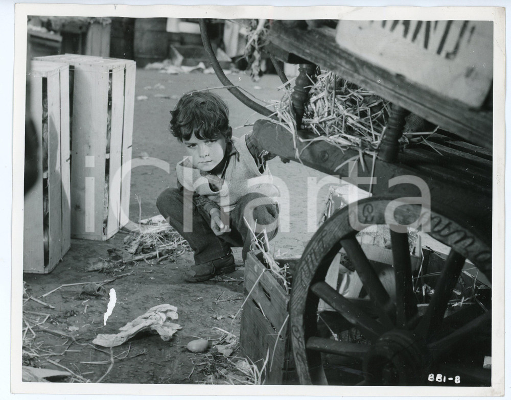 1955 CINEMA - A KID FOR TWO FARTHINGS Jonathan ASHMORE Photo 25x20 cm Fotografia d'epoca.  CONDIZIONI:VERY POOR/gravemente danneggiato Ondulature ai margini superiore e inferiore, abrasione al recto, piegature agli angoliFORMATO: 25x20 cm originale e autentica 1