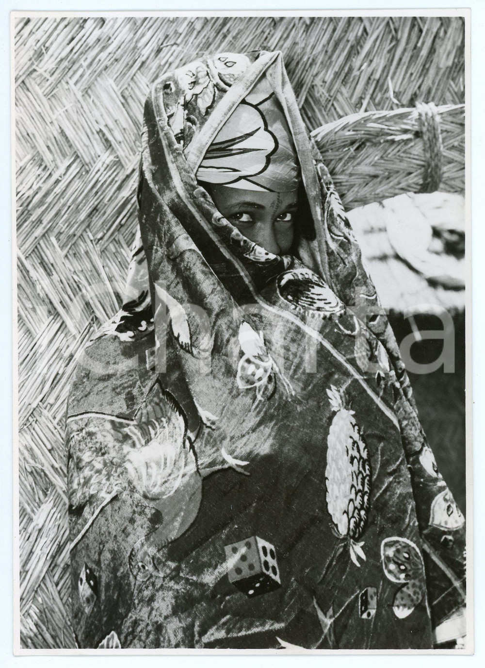 Materiale cinematografico d’epoca 1954 OMARU Eine afrikanische liebesgeschichte  Movie by Albert QUENDLER Photo 1