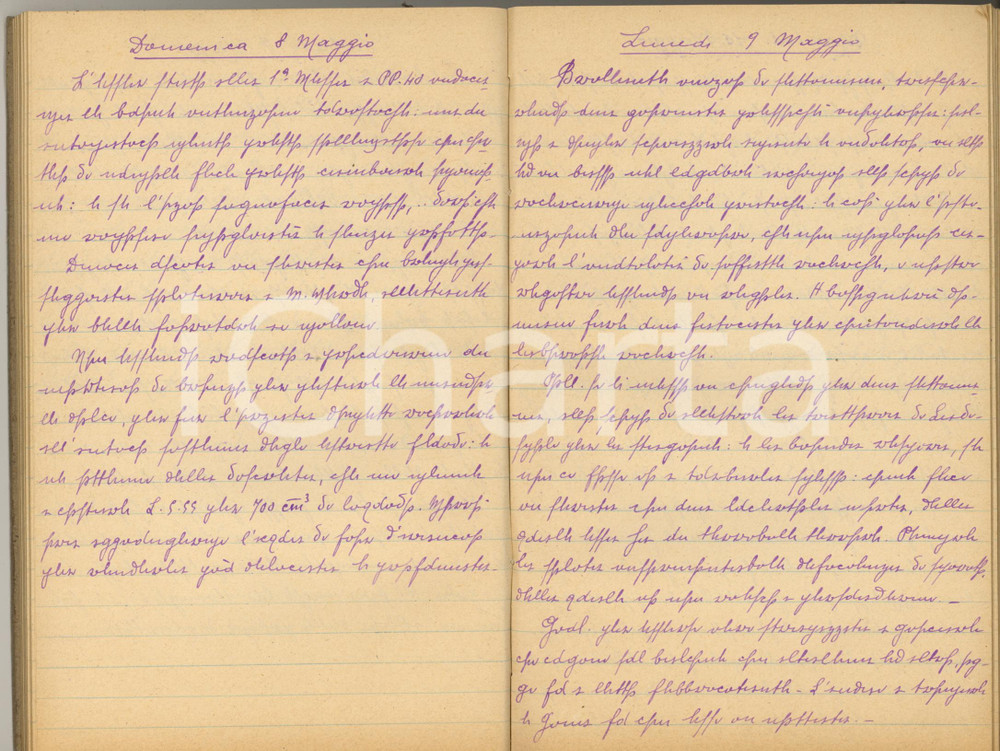 1932 Luigi GREA Diario personale in scrittura cifrata - CURIOSO 350 pp. Curioso diario manoscritto redatto da Luigi Grea (funzionario delle ferrovie e cicloamatore) in una scrittura cifrata che utilizzava con amici e familiari, allo scopo di tutelare la propria vita privata.Il diario, di natura privata, è tenuto in forma giornaliera e contiene, nella parte finale, la contabilità personale.Copertina rigida in cartoncino 3/4 tela.PAGINE: 350 circa CONDIZIONI:FAIR/discreto buone condizioni interne, macchie di umidità in copertina originale e autentica 1