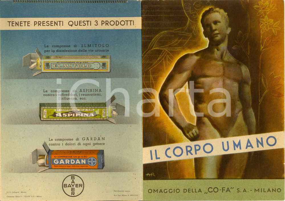Materiale pubblicitario d’epoca 1940 ca MILANO COFA Cooperativa Farmaceutica Il corpo umano Opuscolo BAYER 2 1