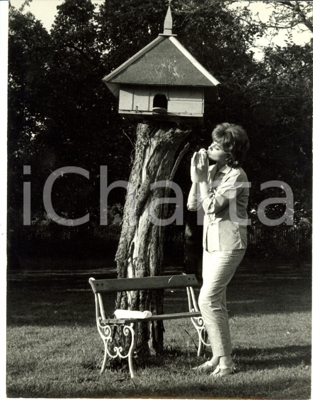 Fotografia d epoca originale 1960 ca PARIS Sylva KOSCINA gioca con un colombo Foto 1