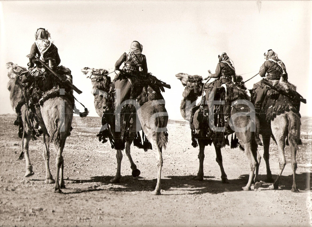 Fotografia d epoca originale 1960 ca GIORDANIA Guardie armate nel deserto a dorso di cammello Foto 1