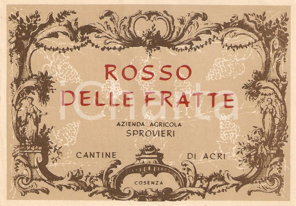 Materiale pubblicitario d’epoca 1955 ca ACRI CS Azienda agricola SPROVIERI Rosso delle fratte Etichetta 1
