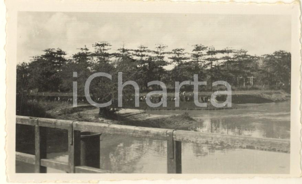 1936 AOI VILLABRUZZI SOMALIA Indigeni al lavoro su un canale *Foto 9x6 Fotografia originale d'epoca, con didascalia manoscritta al verso: "Indigeni al lavoro di sterro per l'allargamento del canale di scarico all'imbocco del fiume Scebeli". CONDIZIONI:GOOD/buonoFORMATO: 9x6 cm originale e autentica 1