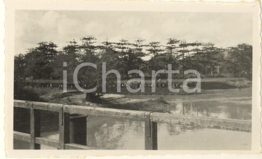 Fotografia d epoca originale 1936 AOI VILLABRUZZI SOMALIA Indigeni al lavoro su un canale Foto 9x6 1