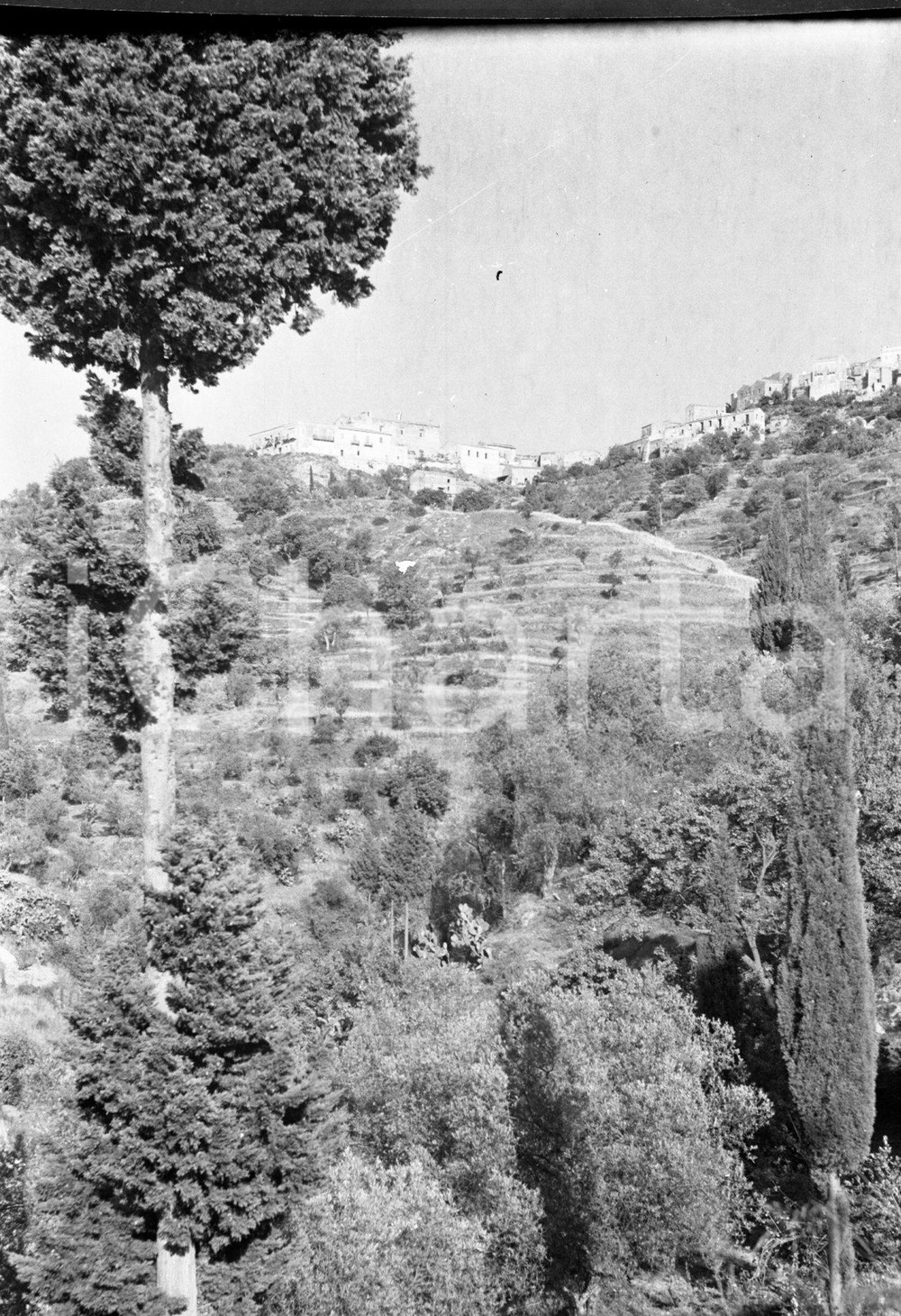 1942 SAVOCA (ME) Il borgo sulle colline, scatto artistico  NEGATIVO ORIGINALE 2 Negativo originale d'epoca in bianco e nero su pellicola.Per i diritti rivolgersi a ICharta.ICharta mette in vendita, sul negozio eBay e in esclusiva sul sito "icharta" il proprio archivio composto da numerose diapositive e negativi fotografici d'epoca, tutti originali e autentici.Si tratta di uno sguardo inedito sull'attualità, la politica, la vita quotidiana, il gossip e la cultura, che fotografa il cambiamento della nazione (e non solo) tra il 1890 ed il 1990 circa. Un'occasione unica per il mercato del collezionismo, che vede finalmente disponibile un archivio eccezionale per vastità, tematiche e condizioni, in un settore (il negativo fotografico e la diapositiva) di assoluta novità e dalle interessanti prospettive di investimento. CONDIZIONI:FAIR/discretoFORMATO: cm 6 x 9 originale e autentica 1