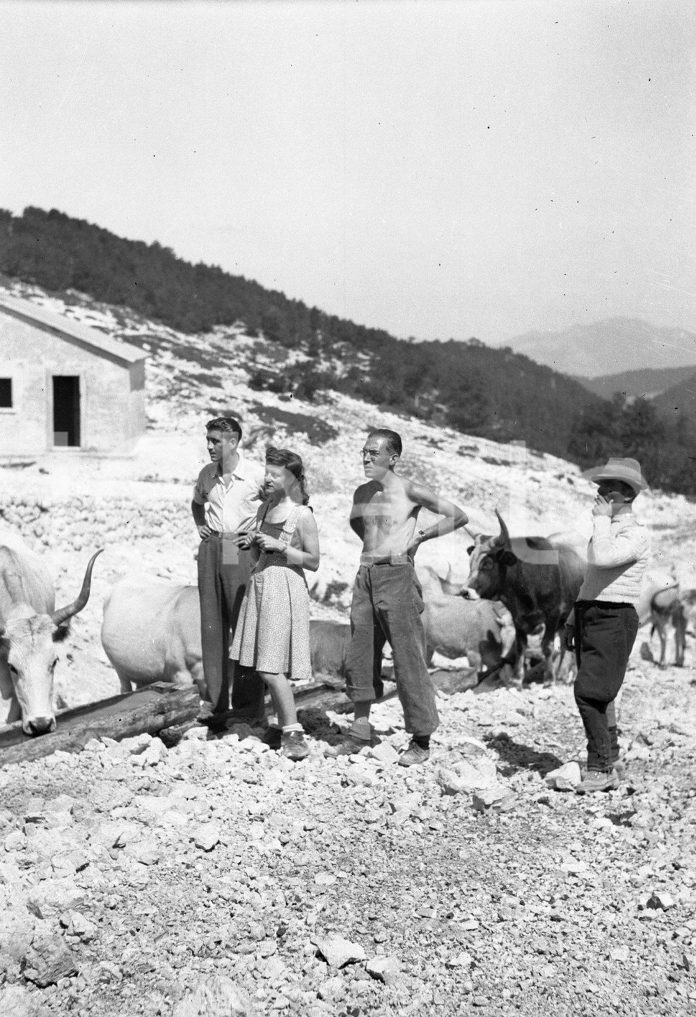 1946 CAMPOCATINO (FR)  Un allevatore con villeggianti NEGATIVO ORIGINALE Negativo originale d'epoca in bianco e nero su pellicola.Per i diritti rivolgersi a ICharta.ICharta mette in vendita, sul negozio eBay e in esclusiva sul sito "icharta" il proprio archivio composto da numerose diapositive e negativi fotografici d'epoca, tutti originali e autentici.Si tratta di uno sguardo inedito sull'attualità, la politica, la vita quotidiana, il gossip e la cultura, che fotografa il cambiamento della nazione (e non solo) tra il 1890 ed il 1990 circa. Un'occasione unica per il mercato del collezionismo, che vede finalmente disponibile un archivio eccezionale per vastità, tematiche e condizioni, in un settore (il negativo fotografico e la diapositiva) di assoluta novità e dalle interessanti prospettive di investimento. CONDIZIONI:FAIR/discretoFORMATO: cm 6 x 9 originale e autentica 1