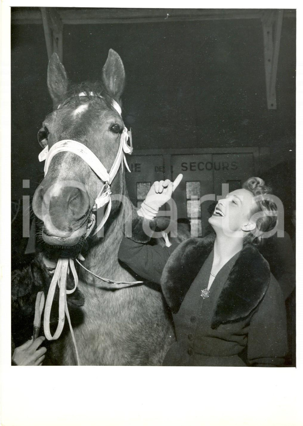 Fotografia d epoca originale 1954 PARIS L attrice Arlette POIRIER con il cavallo COQUINE Fotografia 4 1