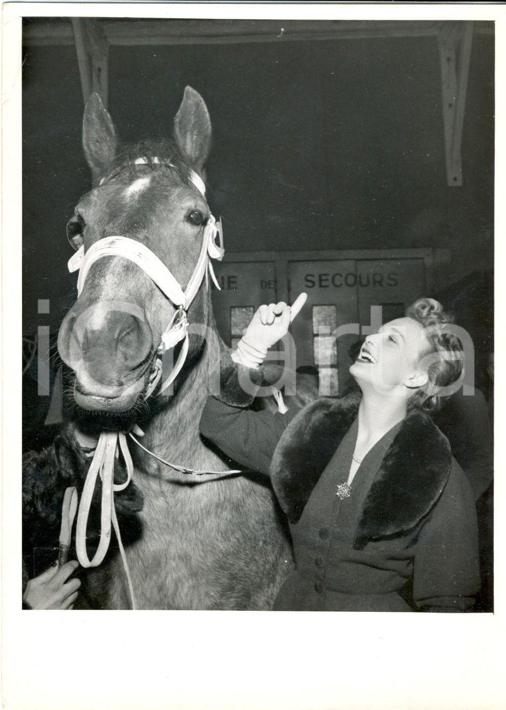 Fotografia d epoca originale 1954 PARIS L attrice Arlette POIRIER con il cavallo COQUINE Fotografia 1 1