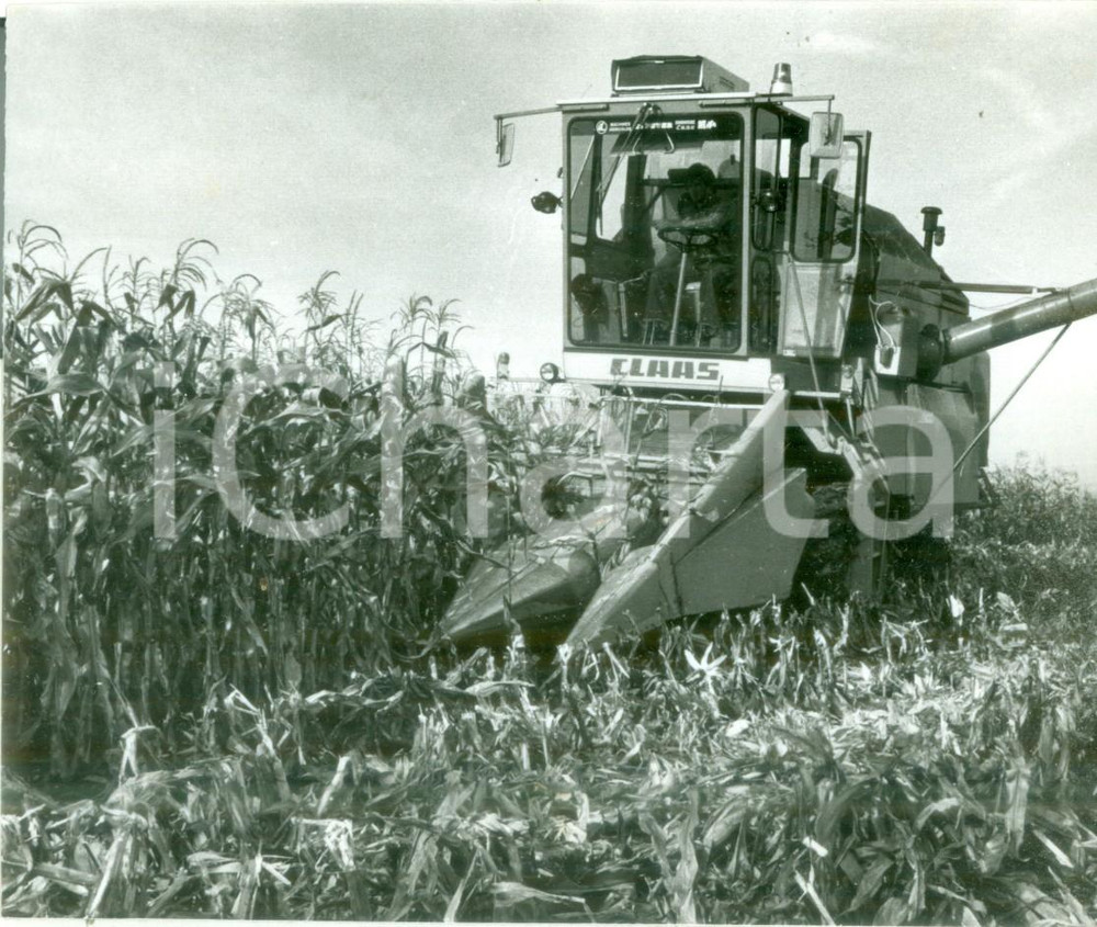 Fotografia d epoca originale 1980 BOSSENDORF FRANCE Raccolta mais con mietitrice CLAAS Foto 1