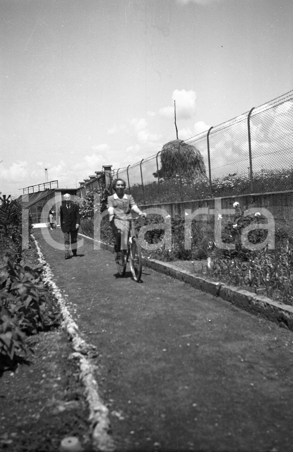 1945 CARATE BRIANZA gita in bicicletta NEGATIVO ORIGINALE Negativo originale d'epoca in bianco e nero.Per i diritti rivolgersi a ICharta.ICharta mette in vendita, sul negozio eBay e in esclusiva sul sito "icharta" il proprio archivio composto da numerose diapositive e negativi fotografici d'epoca, tutti originali e autentici.Si tratta di uno sguardo inedito sull'attualità, la politica, la vita quotidiana, il gossip e la cultura, che fotografa il cambiamento della nazione (e non solo) tra il 1890 ed il 1990 circa. Un'occasione unica per il mercato del collezionismo, che vede finalmente disponibile un archivio eccezionale per vastità, tematiche e condizioni, in un settore (il negativo fotografico e la diapositiva) di assoluta novità e dalle interessanti prospettive di investimento. CONDIZIONI:FAIR/discretoFORMATO: cm 6 x 9 originale e autentica 1