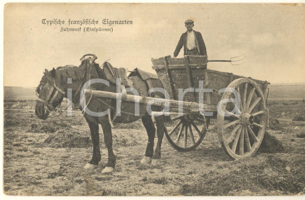 Cartolina originale da collezione 1915 GERMANY Typische franzosische Eigengarten  Fuhrwerk Postcard 1