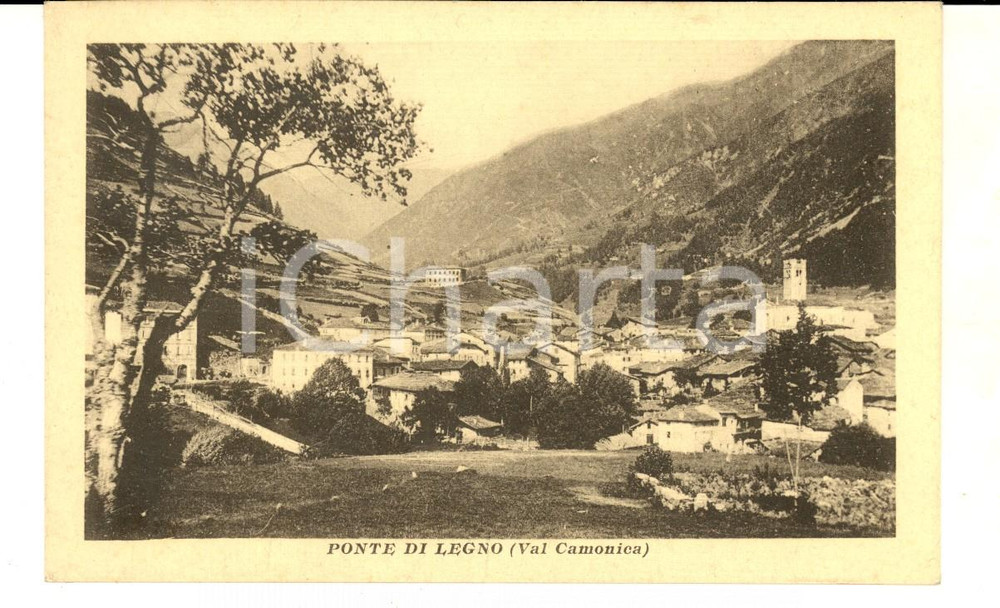 Cartolina originale da collezione 1930 ca PONTE DI LEGNO Veduta in Valle CAMONICA Cartolina Rodolfo SANDRINI 1