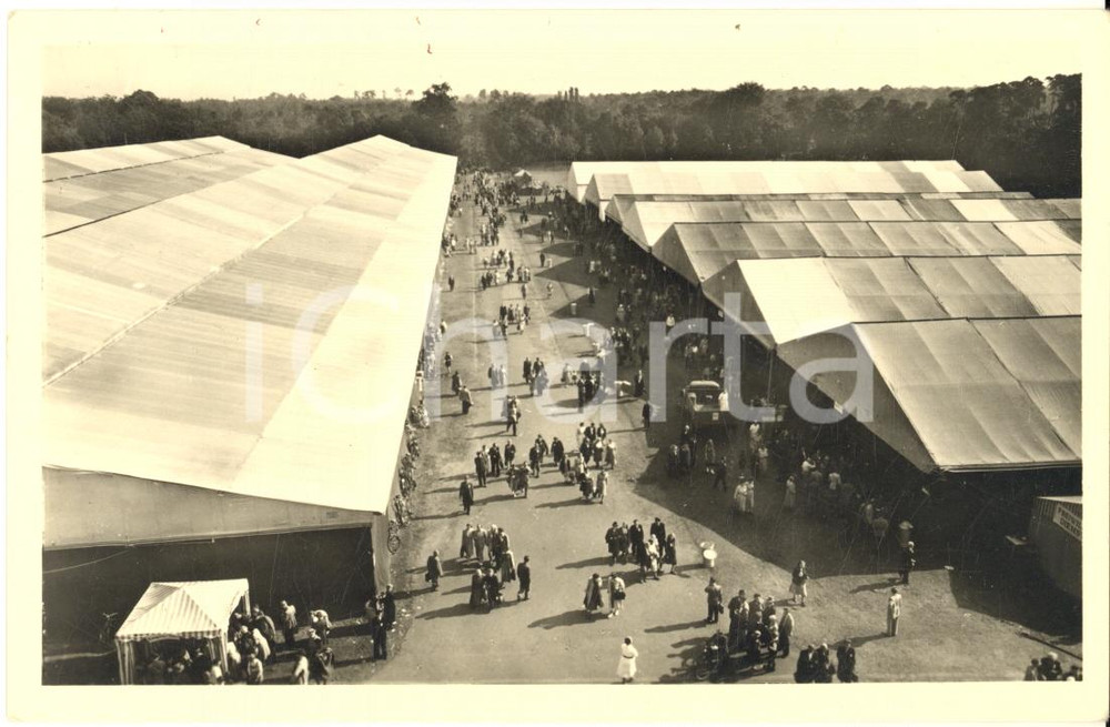 Cartolina originale da collezione 1951 FRANKFURT AM MAIN Stadion  Raduno annuale TESTIMONI DI GEOVA  Postcard 1