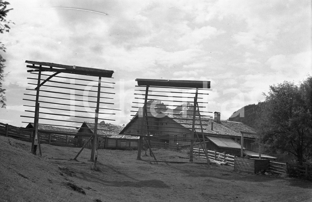 1940 ca VAL PUSTERIA essiccatori di fave NEGATIVO ORIGINALE 1 Negativo originale d'epoca in bianco e nero su pellicola.Per i diritti rivolgersi a ICharta.ICharta mette in vendita, sul negozio eBay e in esclusiva sul sito "icharta" il proprio archivio composto da numerose diapositive e negativi fotografici d'epoca, tutti originali e autentici.Si tratta di uno sguardo inedito sull'attualità, la politica, la vita quotidiana, il gossip e la cultura, che fotografa il cambiamento della nazione (e non solo) tra il 1890 ed il 1990 circa. Un'occasione unica per il mercato del collezionismo, che vede finalmente disponibile un archivio eccezionale per vastità, tematiche e condizioni, in un settore (il negativo fotografico e la diapositiva) di assoluta novità e dalle interessanti prospettive di investimento. CONDIZIONI:FAIR/discretoFORMATO: cm 6 x 9 originale e autentica 1