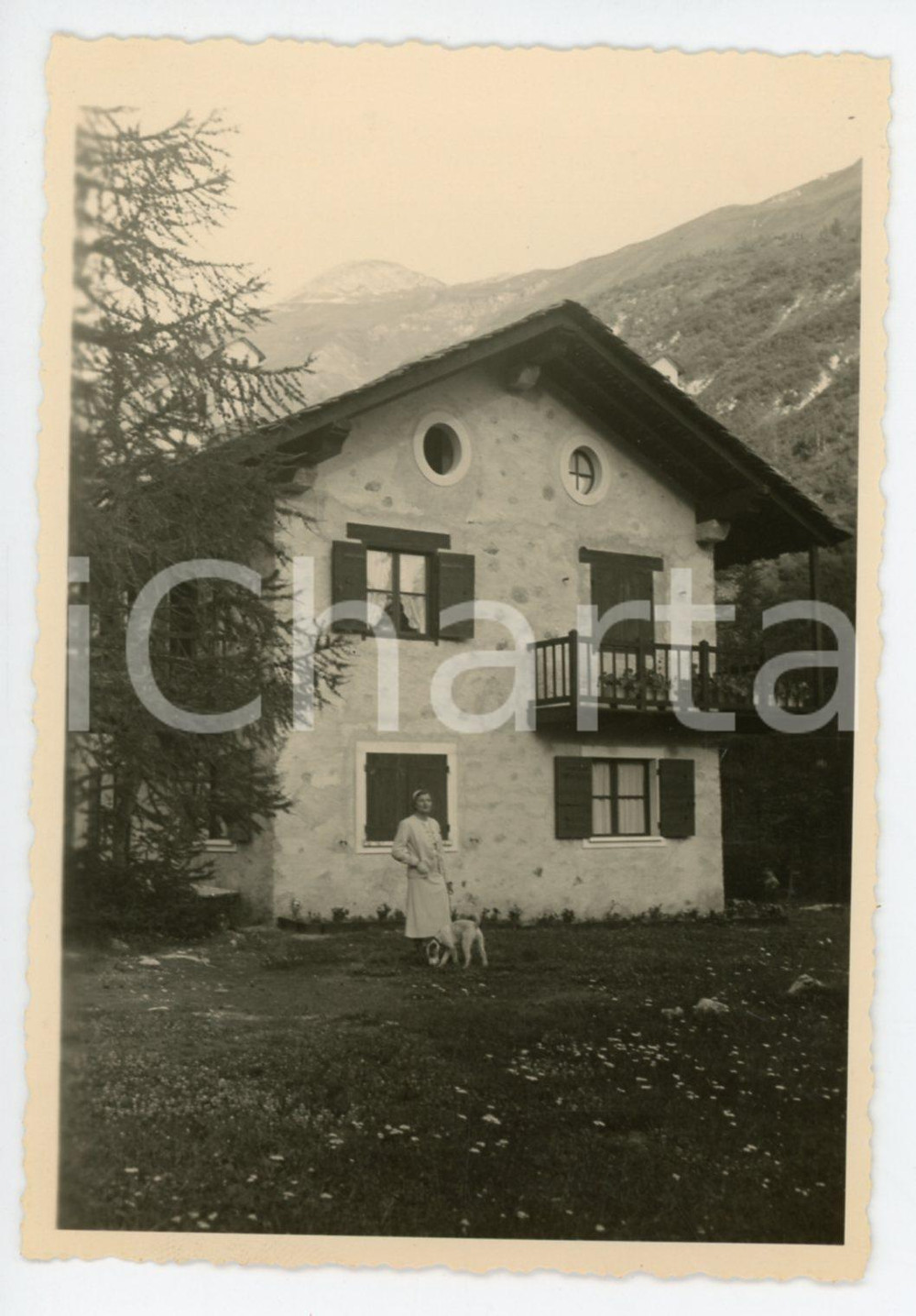 Fotografia d epoca originale 1936 COGNE AO Signora con cane  Ritratto  Foto 8x12 cm 1