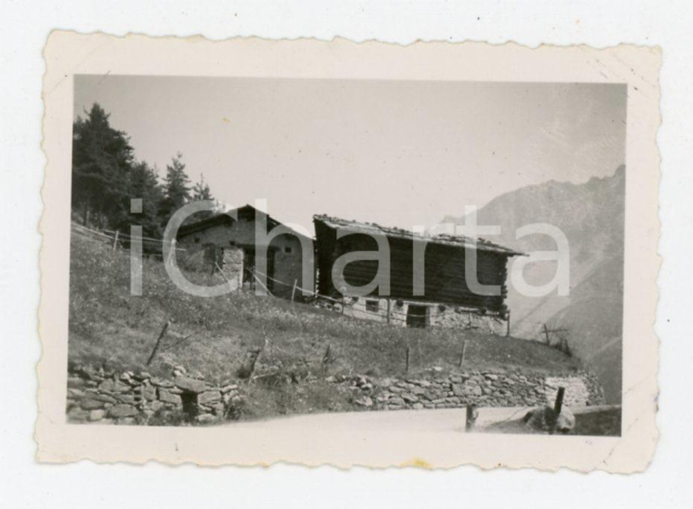 Fotografia d epoca originale 1935 BORMIO verso OGA  VALTELLINA Panorama  Foto 7x5 cm 1