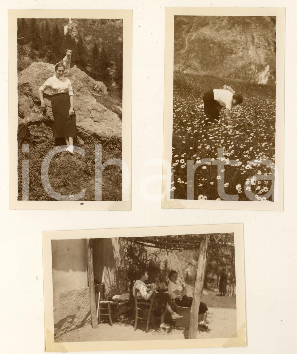 Fotografia d epoca originale 1935 MACUGNAGA  Alpe VENG  Donna in vacanza con il cane Lotto 3 foto 11x7 cm 1