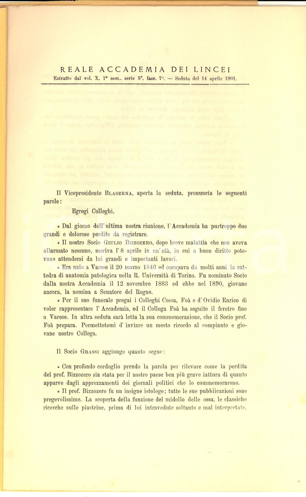 Libro, pubblicazione d epoca 1901 ROMA Accademia dei LINCEI In morte del socio Giulio BIZZOZZERO Estratto 1
