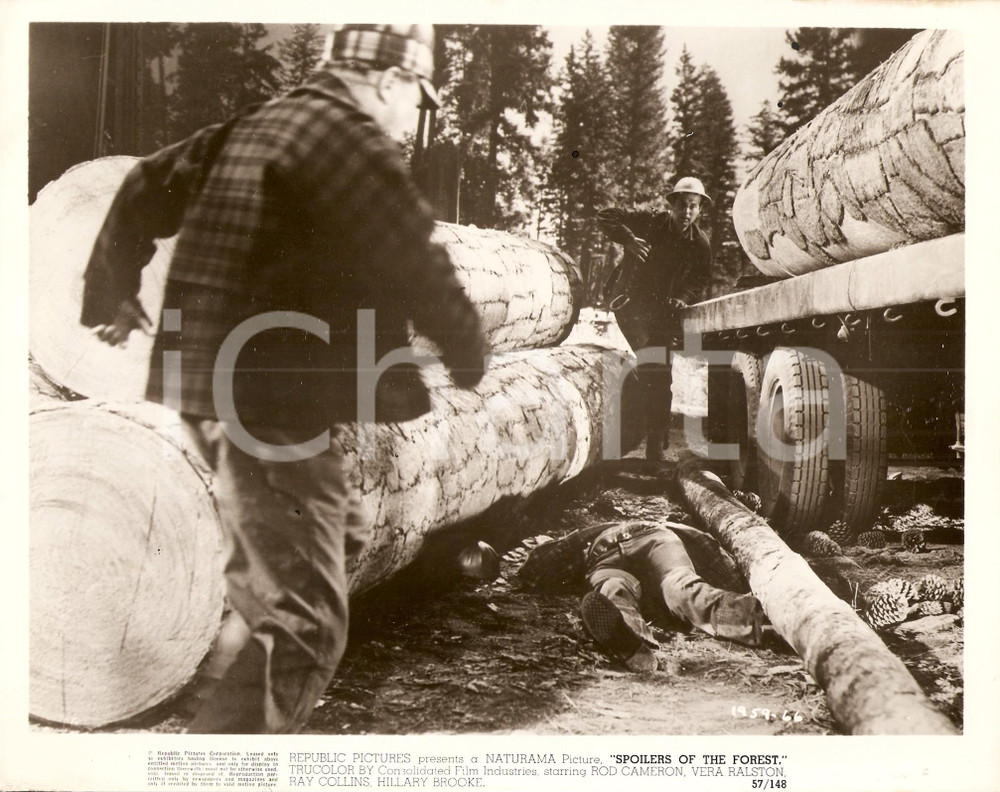 Fotografia d epoca originale 1957 SPOILERS OF THE FOREST Boscaiolo Morte bianca Film di Joseph KANE Foto 1