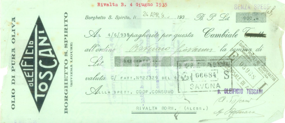 Documento originale, autentico 1935 BORGHETTO SANTO SPIRITO SV Oleificio TOSCANI Cambiale DANNEGGIATA 1