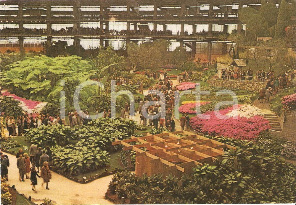 Cartolina originale da collezione 1981 GENOVA Fiera EUROFLORA Visitatori tra allestimenti floreali Cartolina 1