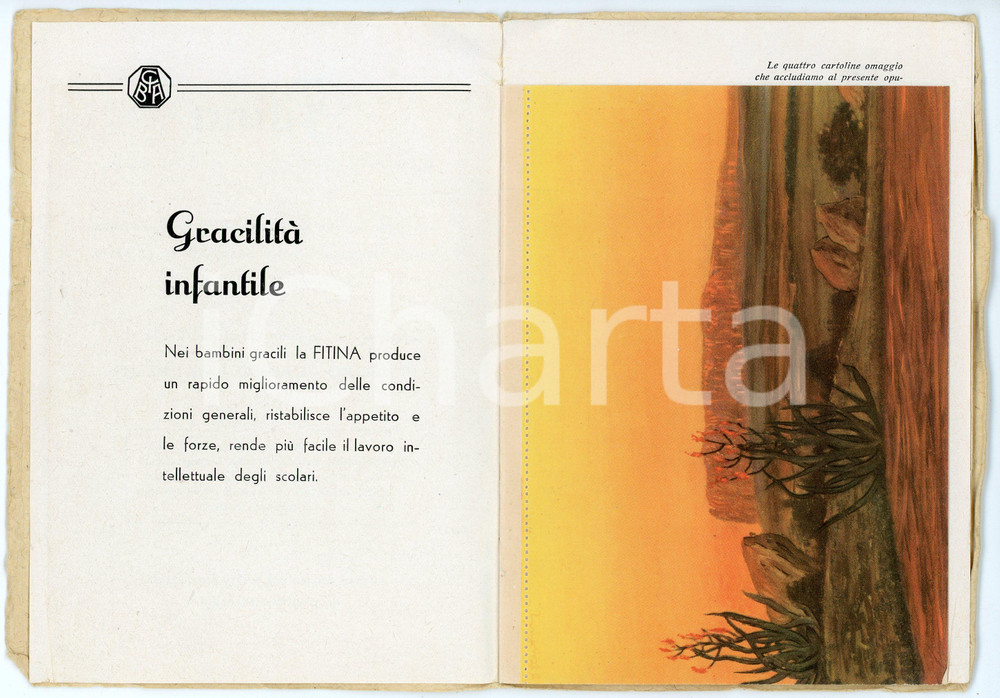 Materiale pubblicitario d’epoca 1940 ca MILANO CIBA Ricostituente FITINA Pubblicazione e 4 cartolina illustrate 1
