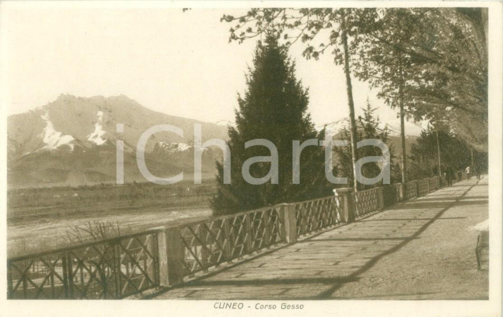 Cartolina originale da collezione 1930 CUNEO Panorama di Corso GESSO con monti Cartolina FP VG 1