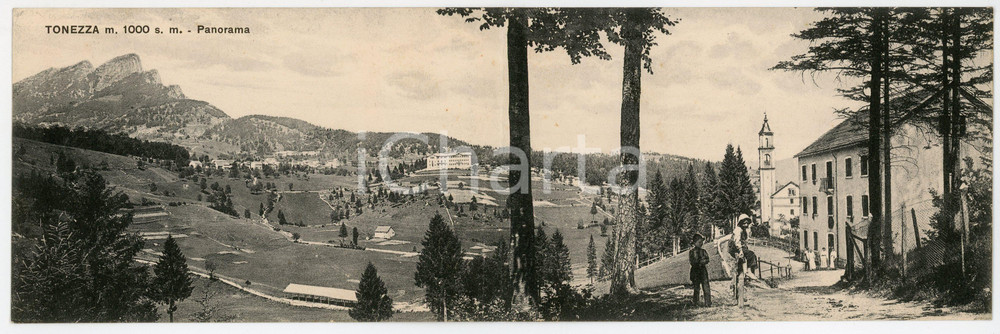 Cartolina originale da collezione 1920 ca TONEZZA DEL CIMONE Pastorelli e abitanti  Cartolina panoramica ANIMATA 1