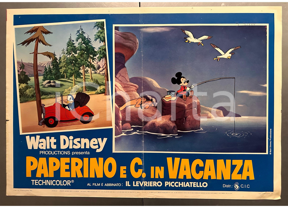 Materiale cinematografico d’epoca 1977 ANIMAZIONE  WALT DISNEY Paperino e C. in vacanza Fotobusta poster 1