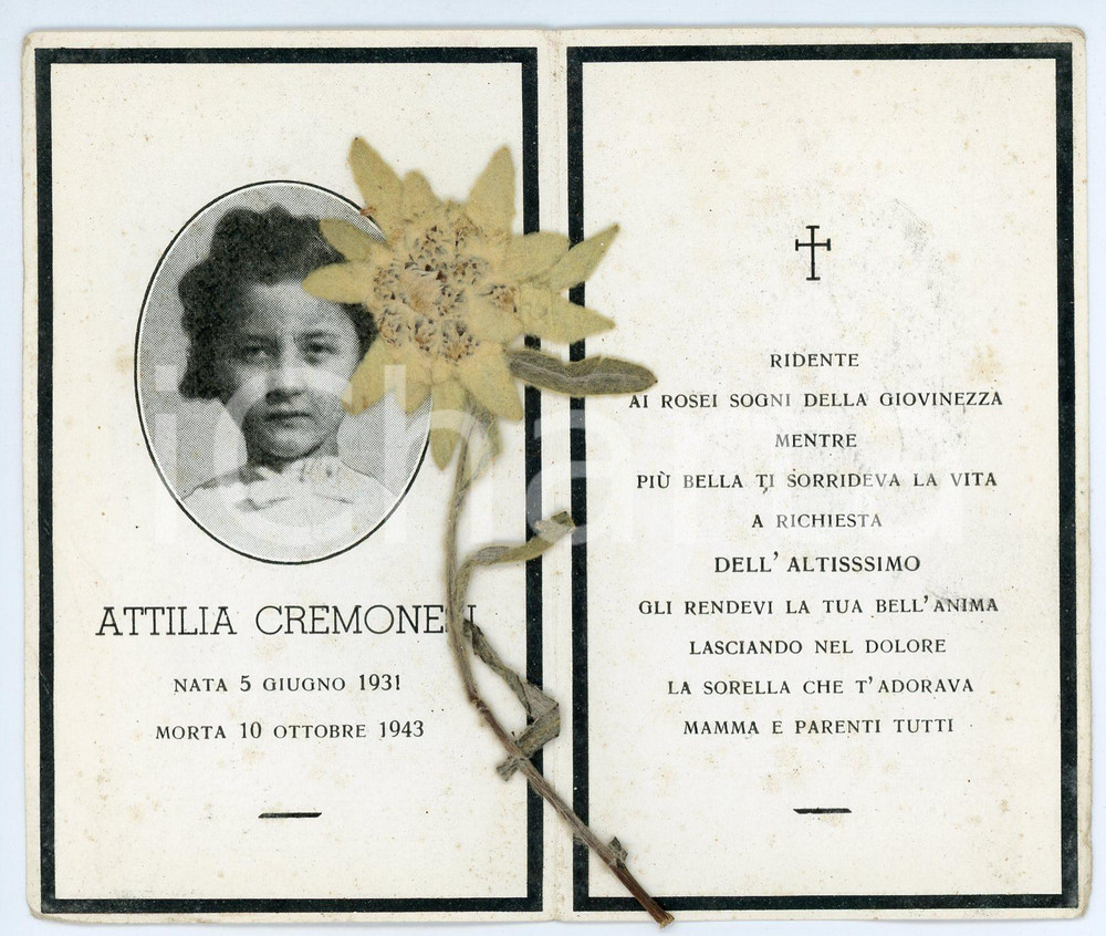 Oggetto da collezione cartaceo 1943 In memoria di Attilia CREMONESI Santino con stella alpina pressata 1