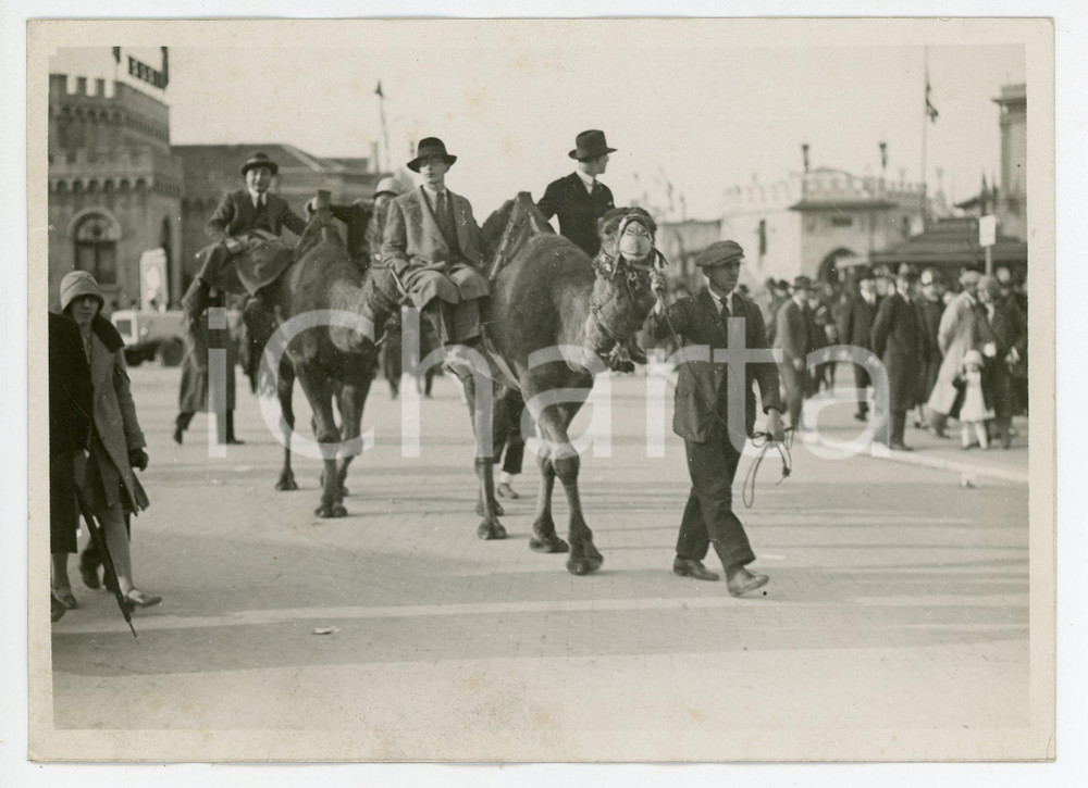 Fotografia d epoca originale 1930 ca MILANO Fiera Campionaria  Visitatori in sella ai cammelli  Foto 1