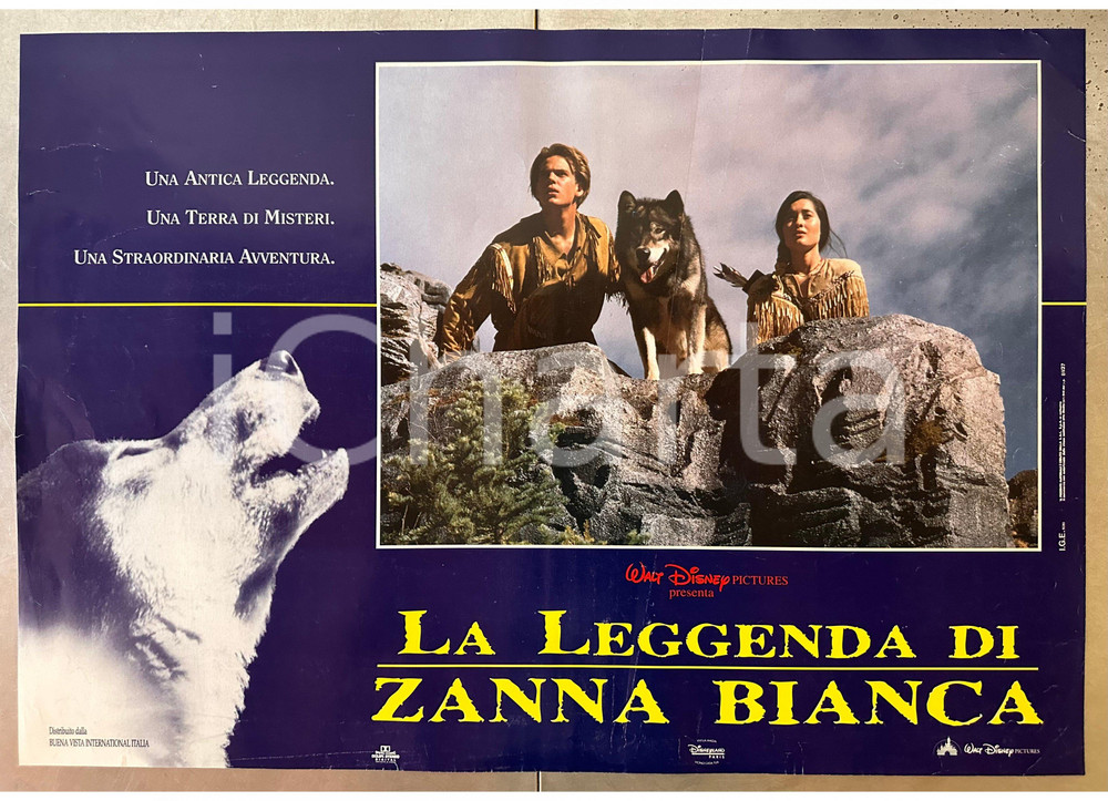 Materiale cinematografico d’epoca 1994 WALT DISNEY  La leggenda di Zanna Bianca Scott BAIRSTOW  Fotobusta 1