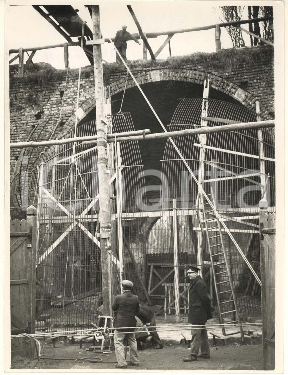 Fotografia d epoca originale 1937 MILANO Parco Sempione  Costruzione gabbia per lupi donati alla città Foto 1