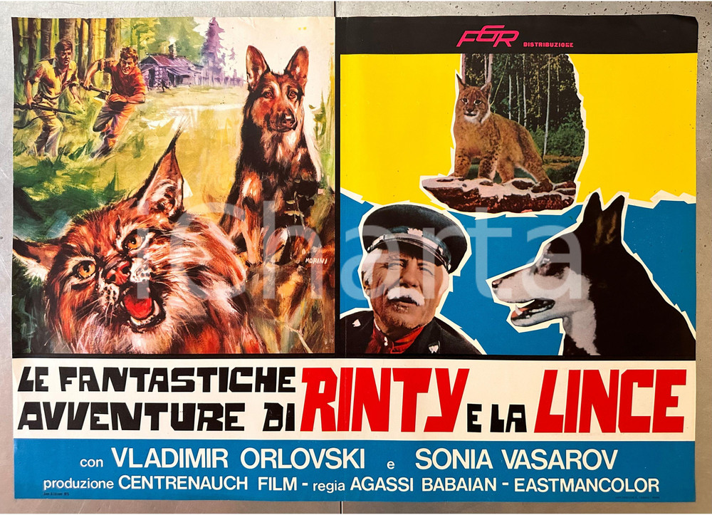 Materiale cinematografico d’epoca 1972 Agassi BABAIAN Le fantastiche avventure di Rinty e la lince  Fotobusta 1