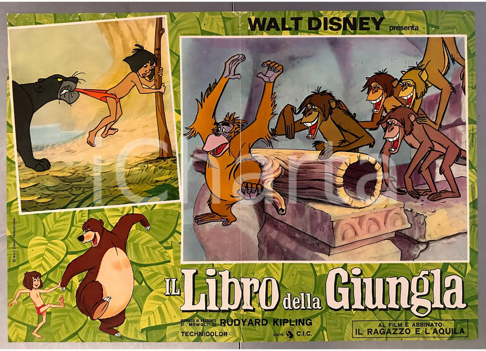 Materiale cinematografico d’epoca 1967 WALT DISNEY Il Libro della Giungla  Fotobusta locandina ANIMAZIONE 65x45 1