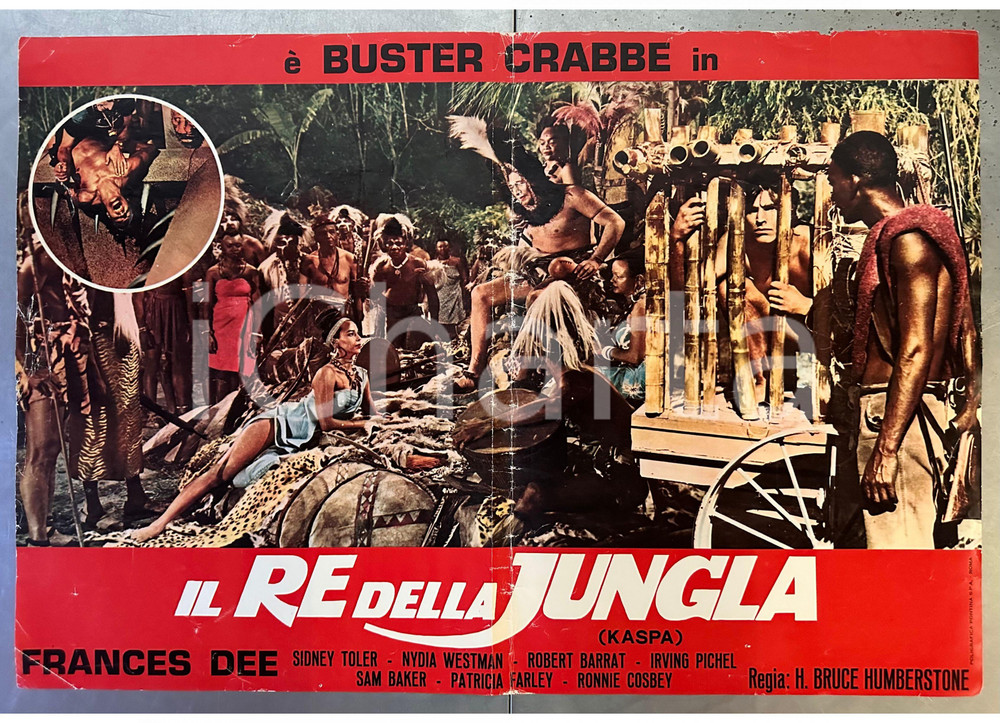 Materiale cinematografico d’epoca 1933 Buster CRABBE Frances DEE  Kaspa il re della jungla  Fotobusta poster 1