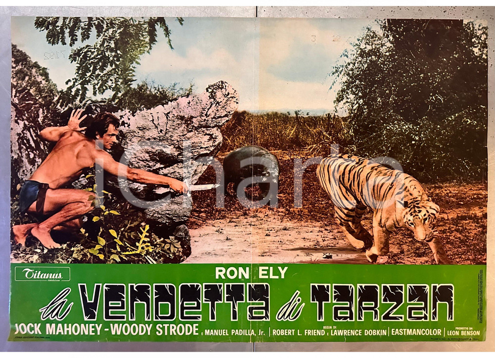 Materiale cinematografico d’epoca 1970 Jock MAHONEY Woody STRODE La vendetta di Tarzan  Fotobusta poster 1